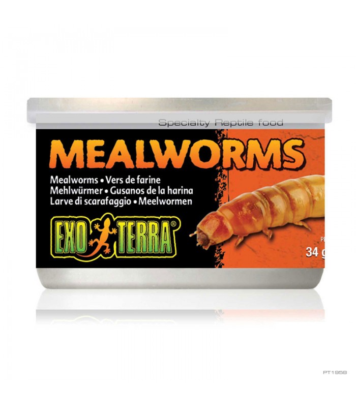 Hagen Exo Terra Mealworms - eledel (Lisztkukac) terráriumi állatok részére (34 g)