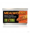 Hagen Exo Terra Mealworms - eledel (Lisztkukac) terráriumi állatok részére (34 g)