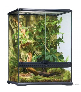 Hagen Exo Terra Natural Terrarium Small Tall - Dekoratív üvegterrárium (45x45x60 cm)