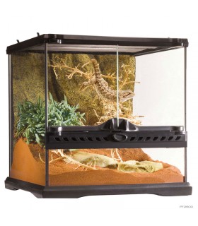 Hagen Exo Terra Natural Terrarium Mini Wide - Dekoratív üvegterrárium (30x30x30 cm)