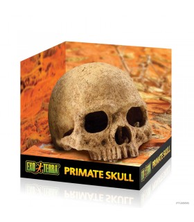 Hagen Exo Terra Primate Skull - koponya formájú búvóhely terráriumokba (12 cm)