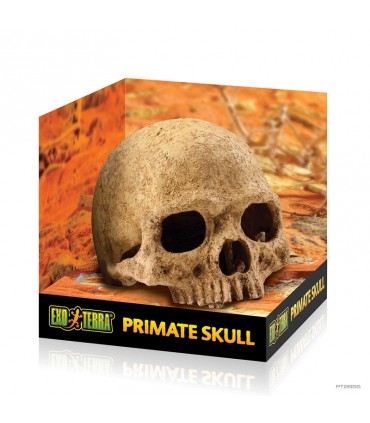 Hagen Exo Terra Primate Skull - koponya formájú búvóhely terráriumokba (12 cm)