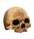 Hagen Exo Terra Primate Skull - koponya formájú búvóhely terráriumokba (12 cm)