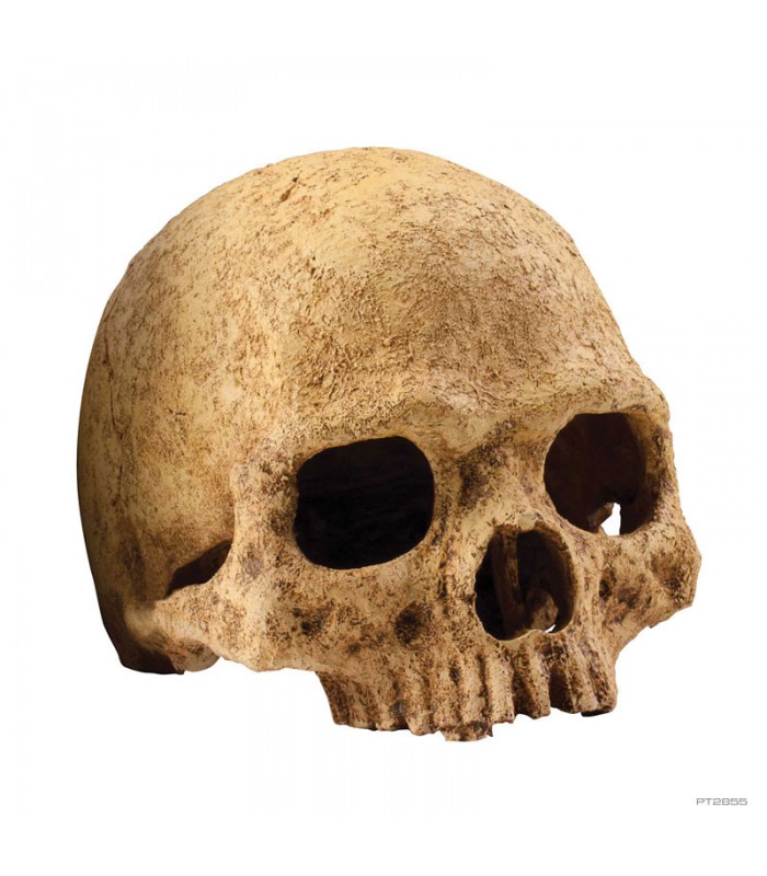 Hagen Exo Terra Primate Skull - koponya formájú búvóhely terráriumokba (12 cm)