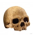 Hagen Exo Terra Primate Skull - koponya formájú búvóhely terráriumokba (12 cm)