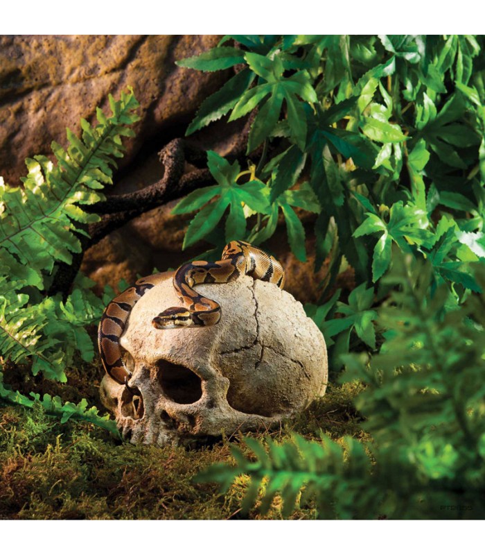 Hagen Exo Terra Primate Skull - koponya formájú búvóhely terráriumokba (12 cm)