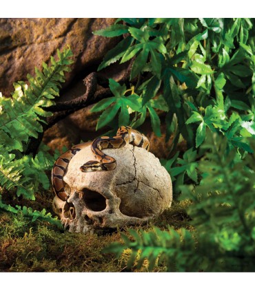 Hagen Exo Terra Primate Skull - koponya formájú búvóhely terráriumokba (12 cm)