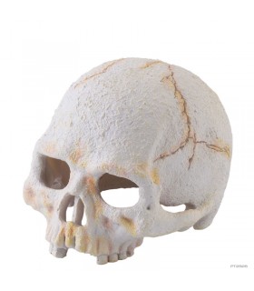 Hagen Exo Terra Primate Skull Small - koponya formájú búvóhely terráriumokba