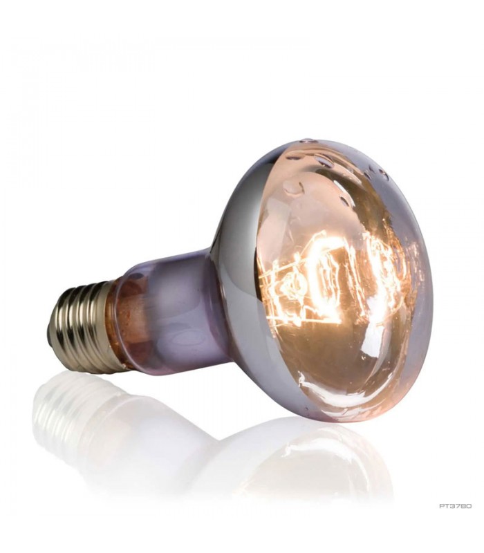 Hagen Exo Terra Swamp Spot 50W - sütkérező izzó