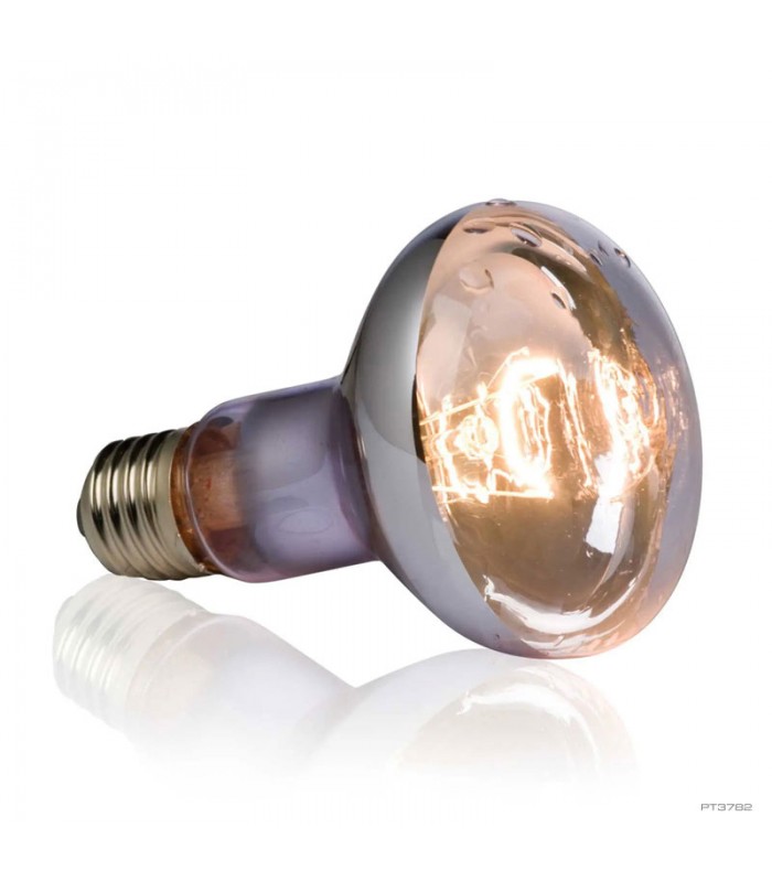 Hagen Exo Terra Swamp Spot 75W - sütkérező izzó