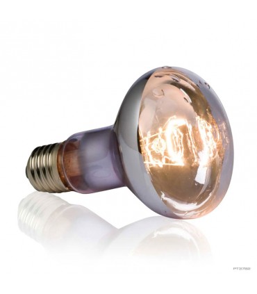 Hagen Exo Terra Swamp Spot 75W - sütkérező izzó