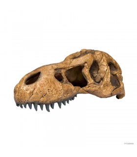 Hagen Exo Terra T-Rex Skull - T-Rex koponya formájú búvóhely hüllők részére (11x23x8 cm)