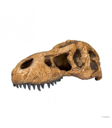 Hagen Exo Terra T-Rex Skull - T-Rex koponya formájú búvóhely hüllők részére (11x23x8 cm)