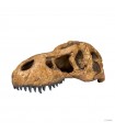 Hagen Exo Terra T-Rex Skull - T-Rex koponya formájú búvóhely hüllők részére (11x23x8 cm)