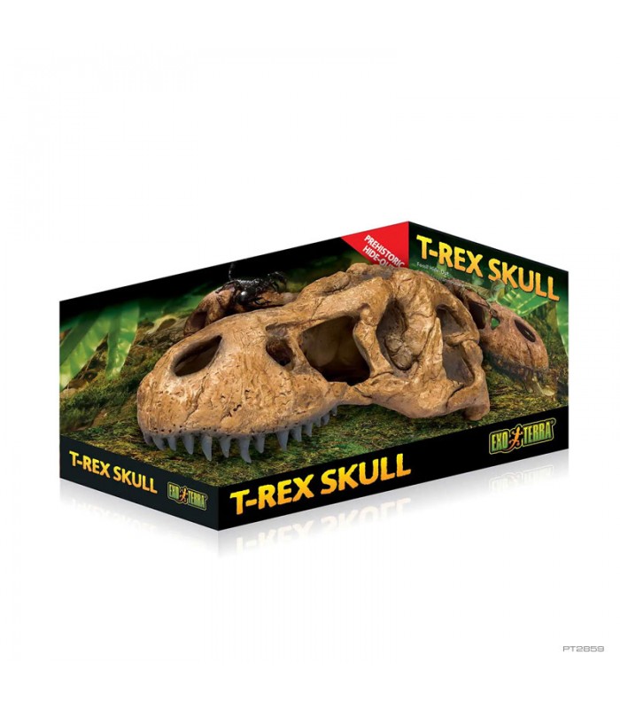 Hagen Exo Terra T-Rex Skull - T-Rex koponya formájú búvóhely hüllők részére (11x23x8 cm)
