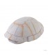 Hagen Exo Terra Tortoise Skeleton - búvóhely (teknős páncél) terráriumokba