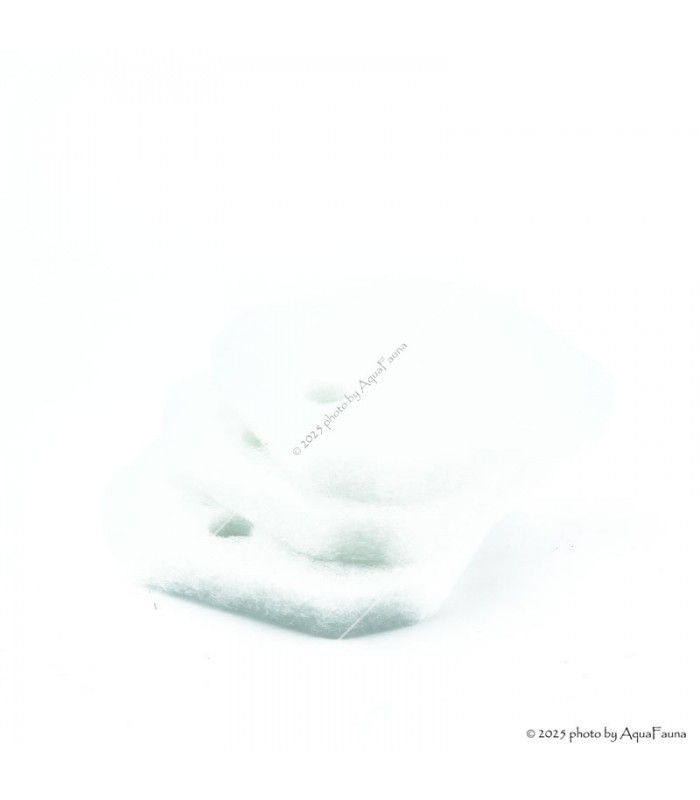 Eheim eXperience 150/250, Professionel 2222/2224 Finom szűrőpárna készlet - fehér (3 db) (2616225)