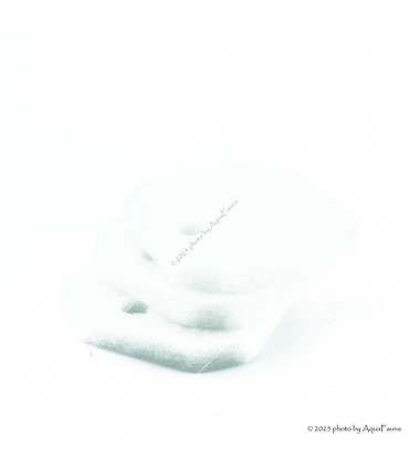 Eheim eXperience 150/250, Professionel 2222/2224 Finom szűrőpárna készlet - fehér (3 db) (2616225)