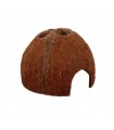 Repti Planet Coconut shell - kókuszhéj ház (L) terráriumi állatok részére
