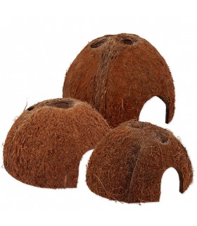 Repti Planet Coconut shell - kókuszhéj ház (M) terráriumi állatok részére