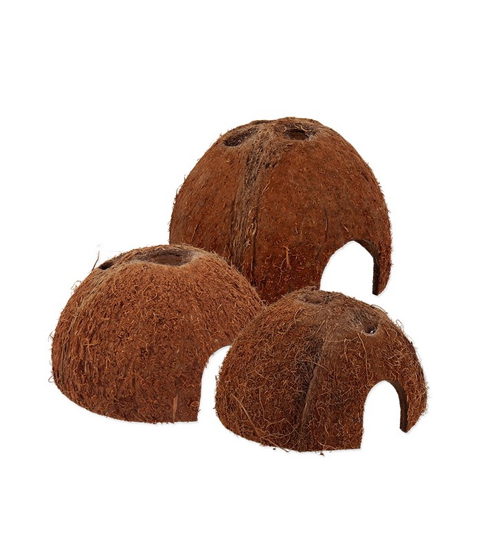 Repti Planet Coconut shell - kókuszhéj ház (M) terráriumi állatok részére