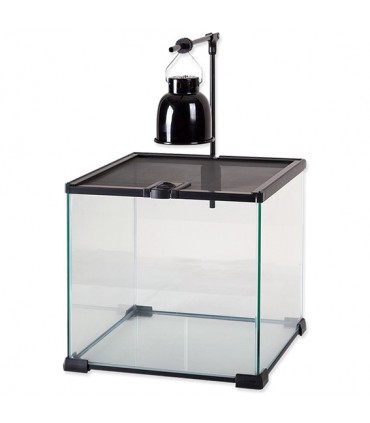 Repti Planet Mini Done - kerámia lámpa - terráriumokhoz (40W)