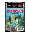 Fagyasztott Kagylóhús (aprított) - 100 g