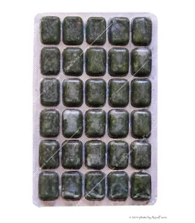 Fagyasztott Lorikária mix - 100 g
