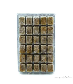 Fagyasztott Teknőseleség - 100 g