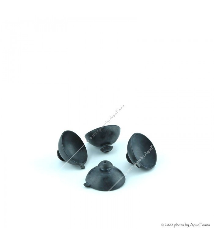 Eheim tapadókorong a compactON 2100/3000/5000/9000/12000/16000 vízpumpához - 4 db (7475548)