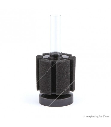 ISTA szivacsszűrő (talpas) Mini