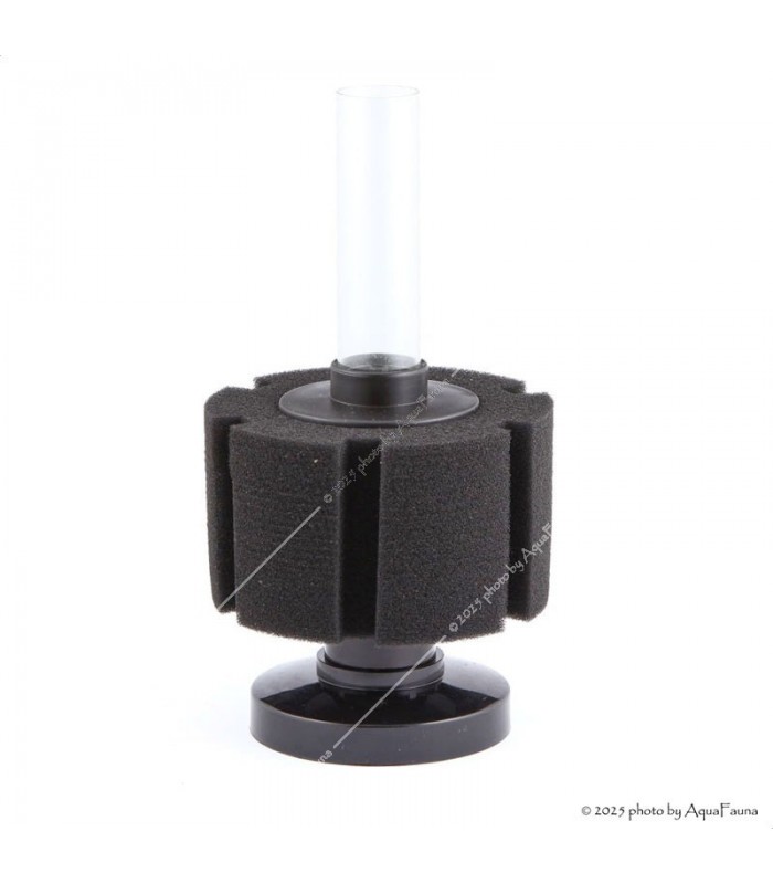 ISTA szivacsszűrő (talpas) S