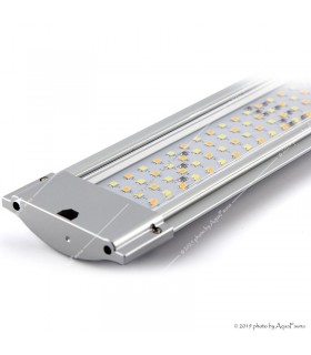 JBL LED Solar Natur (Gen 2) 53W 144,9/150 cm (145-170 cm akváriumokhoz)