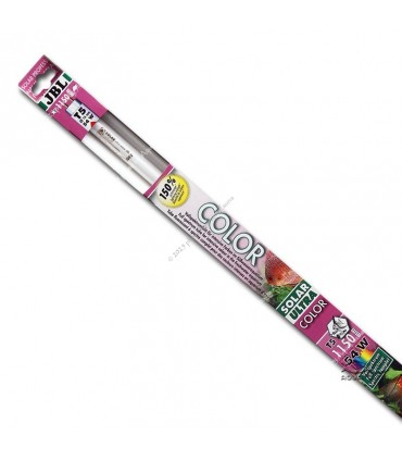 JBL Solar Color 58W (150 cm)