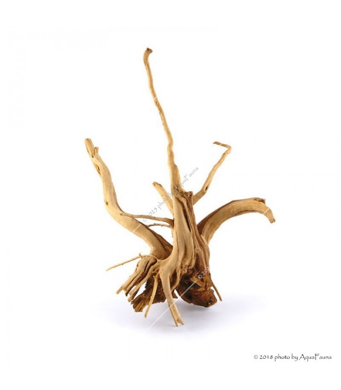 Finger-gyökér nano dekorfa (10-20 cm) (Spiderwood, Red moor) / db