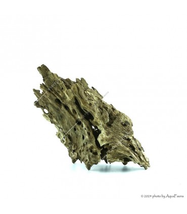 Honeycomb Wood dekorfa (20-50 cm) / kg