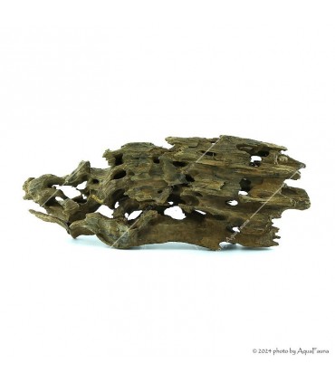 Honeycomb Wood dekorfa (20-50 cm) / kg