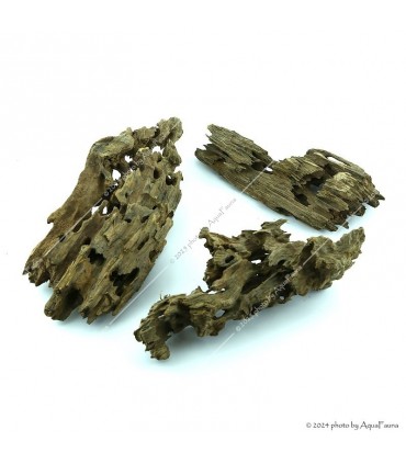 Honeycomb Wood dekorfa (20-50 cm) / kg