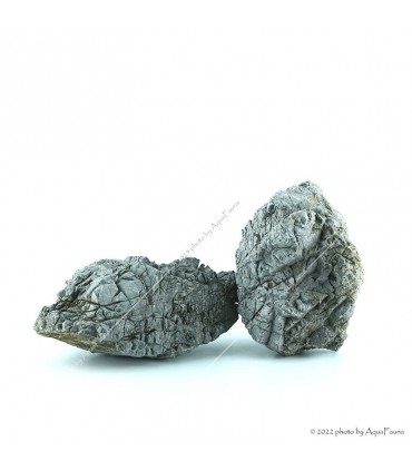 Dekorkő - Corners / kg