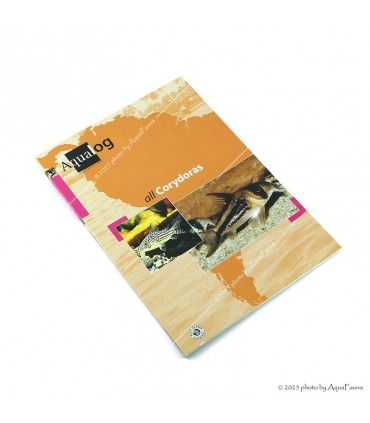 Aqualog - All Corydoras