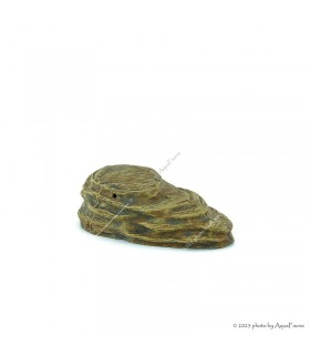 Kerámia teknőskimászó, napozó M (23,5 x 14 x 8 cm)