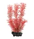 Tetra DecoArt Plant S Red Foxtail - 15 cm