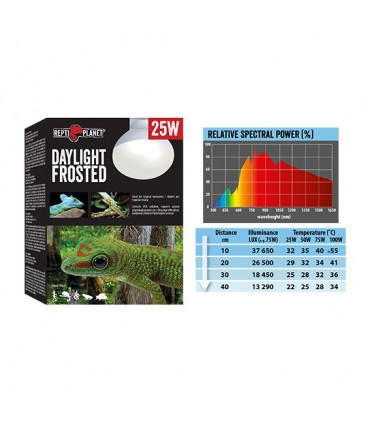 Repti Planet Daylight Frosted - trópusi nappali hideg fényt sugárzó izzó - (100W)