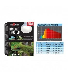 Repti Planet Daylight Frosted - trópusi nappali hideg fényt sugárzó izzó - (75W)