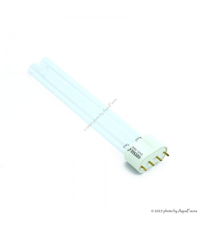 Odyssea UV-C égő - 18W