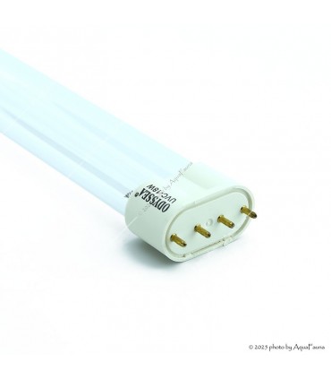 Odyssea UV-C égő - 18W
