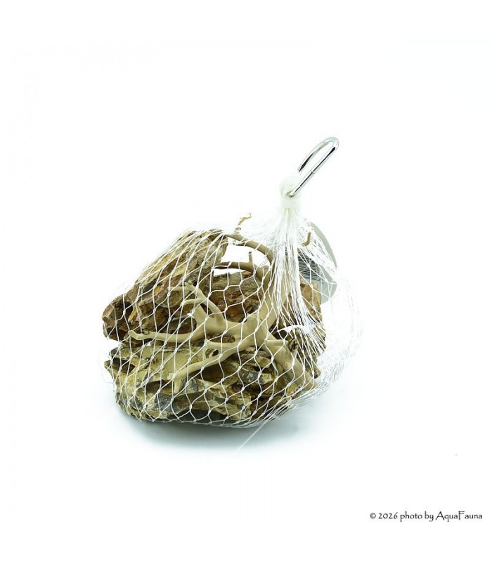 Nano dekoráció - Dragon - Red moor (0,5 kg)