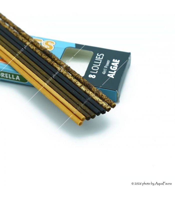 GlasGarten Shrimp Lollies - 4in1 Algae Power - 8 db