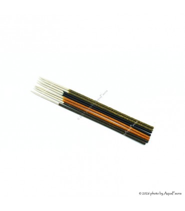 GlasGarten Shrimp Lollies - 4in1 Power Basic Mix - 8 db