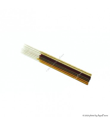 GlasGarten Shrimp Lollies - 4in1 Special Power - 8 db